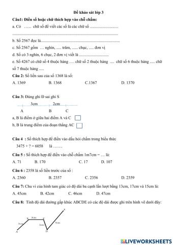 Đề khảo sát lớp 3
