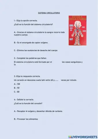 Sistema Circulatorio