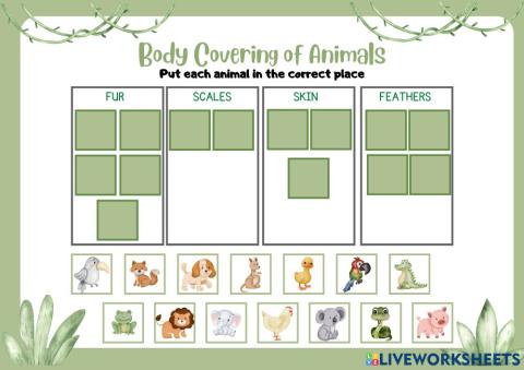 Animals covering