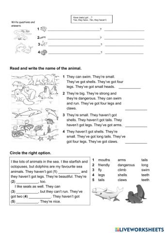 Have got- haven-t got