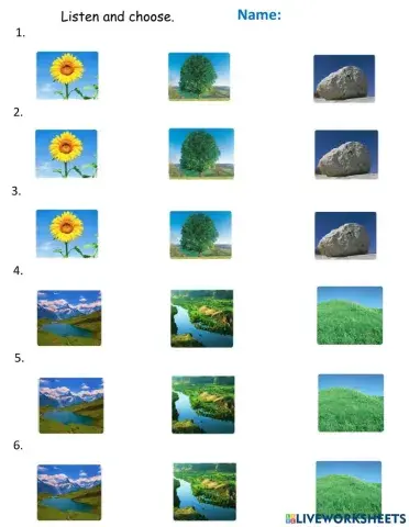 Everybody Up 1 - Unit 5