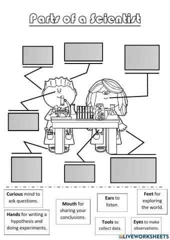 Parts of a Scientist