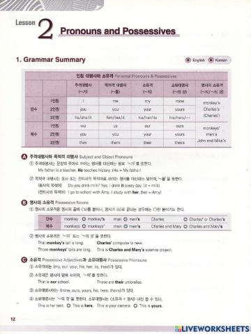 Pronouns and Possessives