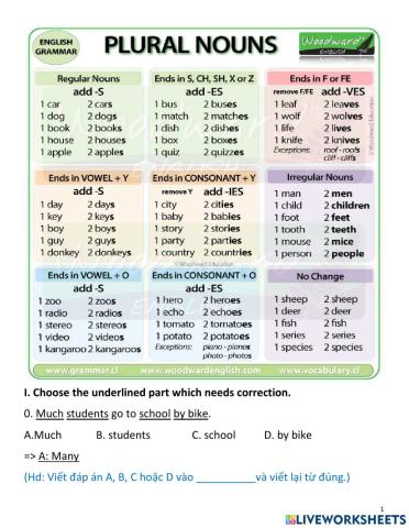 Singular & plural noouns