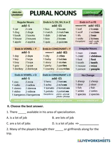 Singular & plural nouns