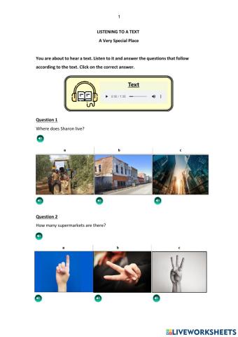 BOOST: Listening to a Text Practice – A Very Special Place