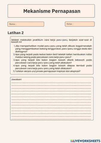 Praktikum Cara Kerja Paru-Paru