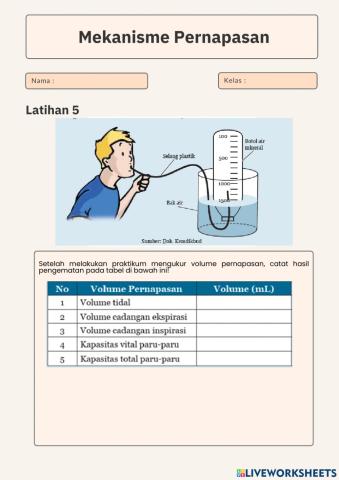 Praktikum Mengukur Volume Pernapasan