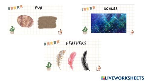 Fur, feathers, scales