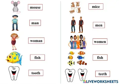Topic - plural nouns