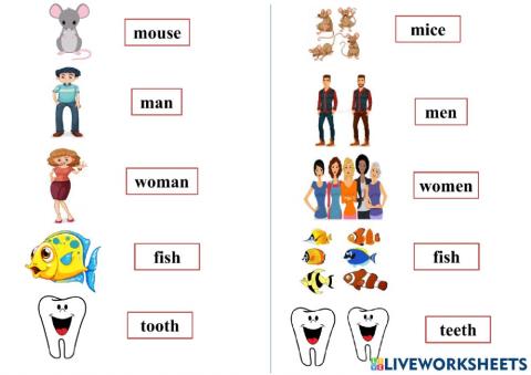 Topic - plural nouns