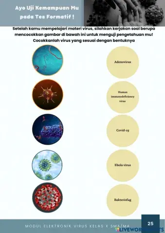 Soal mencocokkan modul virus berbasis flipped classroom P2