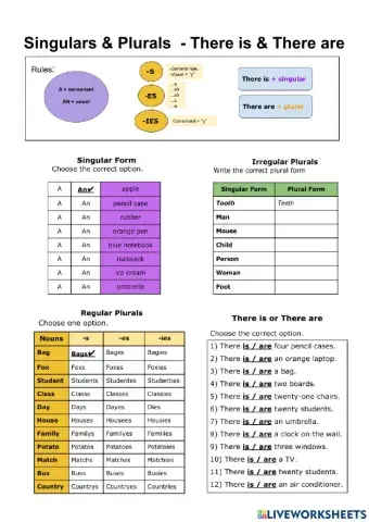 Singular & Plural Forms - There is-are