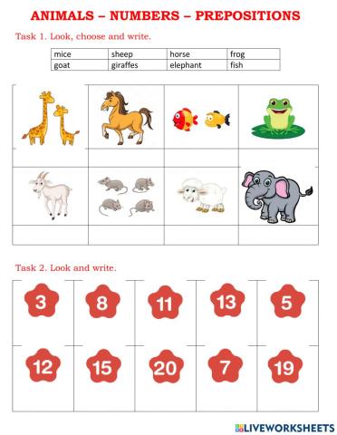 Animals - numbers - prepositions