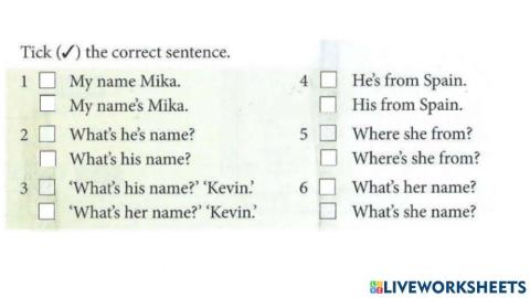 Am, is, are, possessives, countries