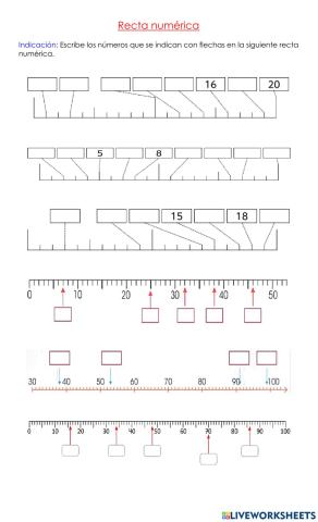 Recta numérica hasta 100