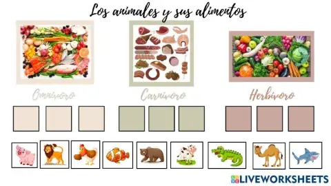 Los animales y sus alimentos