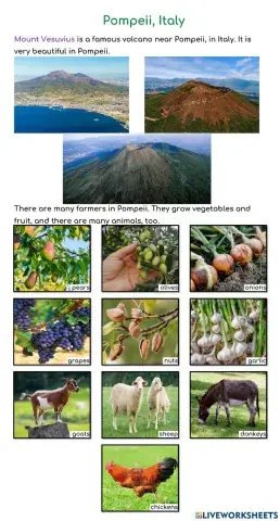 YiXian Summer Camp - Volcano: Pompeii