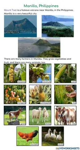 YiXian Summer Camp - Volcano: Manilla