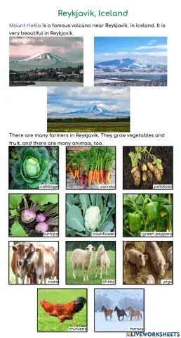 YiXian Summer Camp - Volcano: Reykjavik