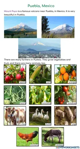 YiXian Summer Camp - Volcano: Puebla