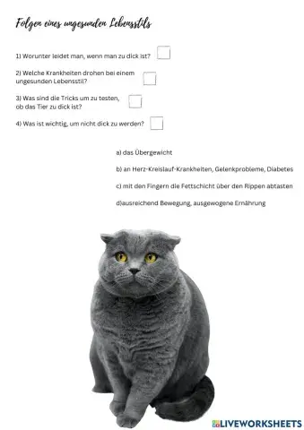 Folgen ungesunder Lebensstil