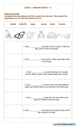 Look 5 – review units 5 – 6