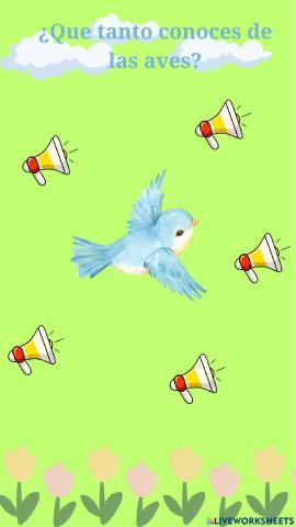 Que tanto conoces de las aves