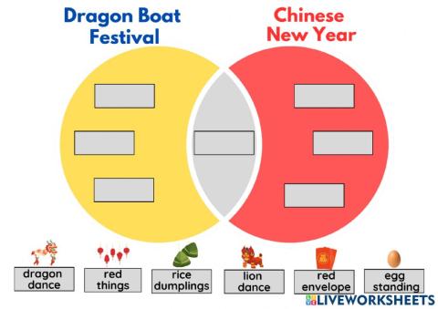 Dragon Boat Comparison