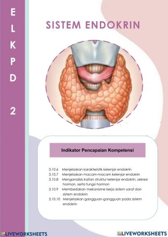 E-LKPD Sistem Endokrin