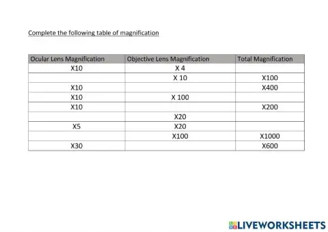 Magnification of Microscope