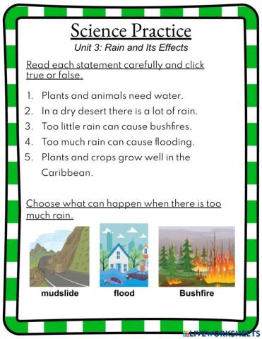 Rain and its effects