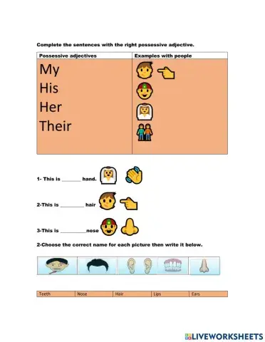 Possesive adjectives