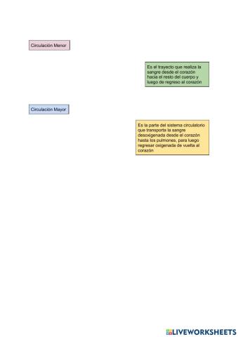 Enfermedades del sistema circulatorio