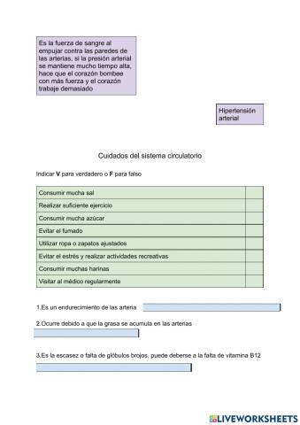 Cuidados del sistema circulatorio