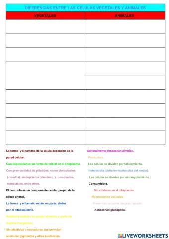 Diferencias entre la célula animal y vegetal