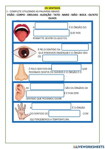 Os sentidos