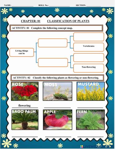 Classification of living things