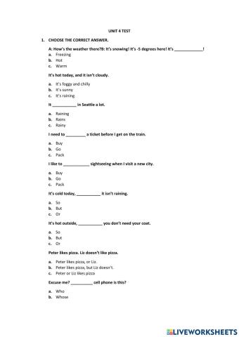 Unit 4 Adults-level 4