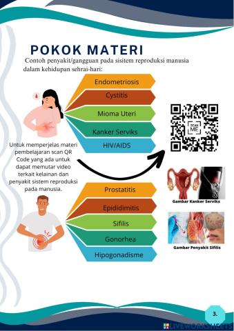 Sistem reproduksi manusia