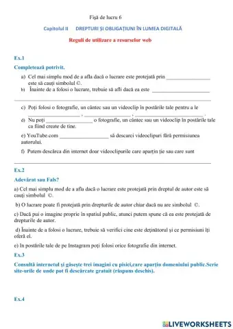 Capitolul II. Drepturi şi obligaţiuni în lumea digitală.   6 Reguli de utilizare a resurselor web