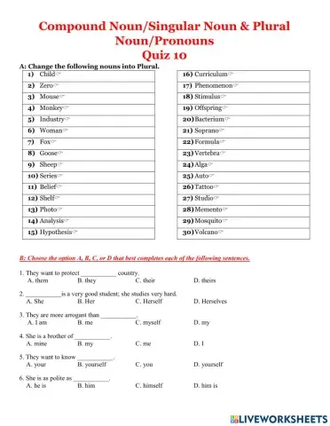 Quiz 10-compound noun, singular noun and plural noun and pronouns