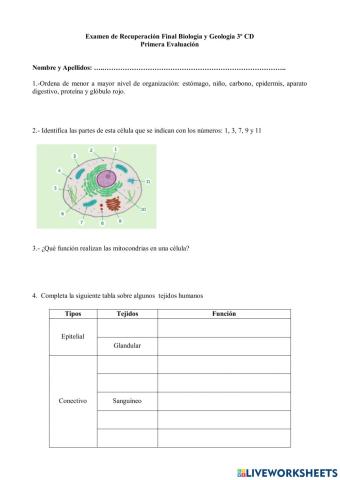 Examen IES ALJADA