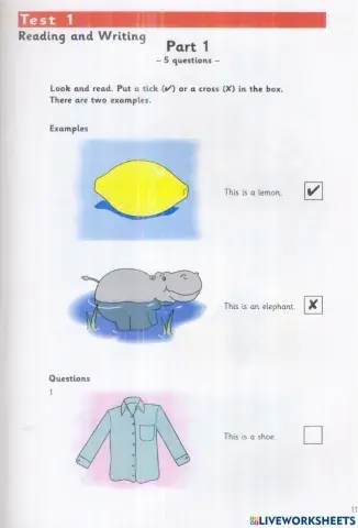 Test Reading+ Writing