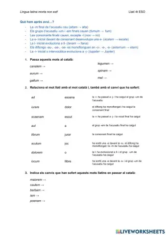 Evolució del llatí al català