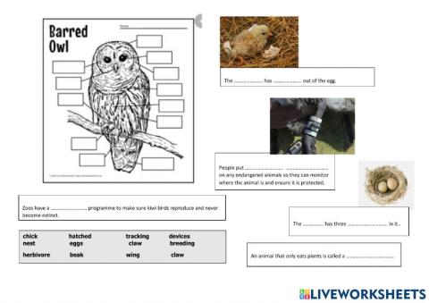 Vocabulary about bird conservation