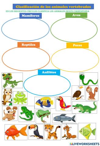 Clasificando los animales vertebrados