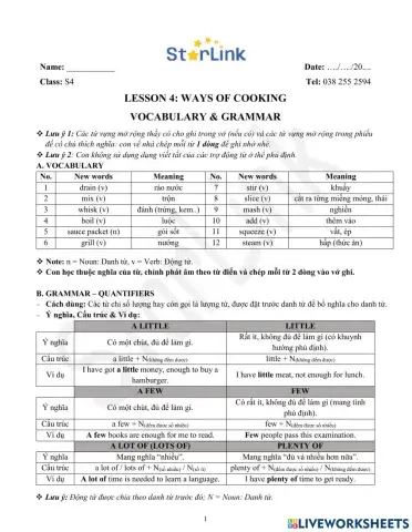 ONLINE-Viet-S4-W4-L4-VOCAB & GRAM