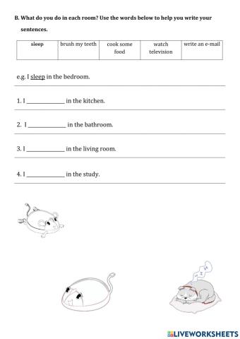 Mouse to Mouse (B) 1B