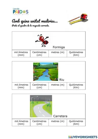 Amb quina unitat mesuraries...